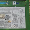 IMGP1766