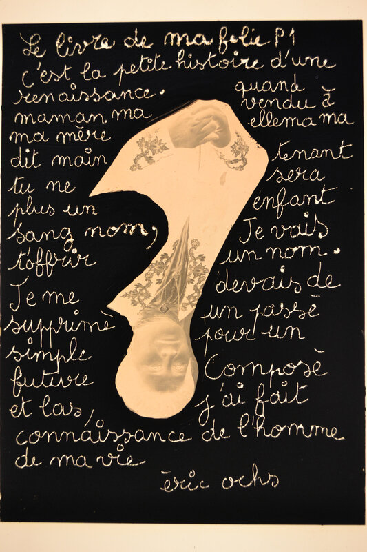 le livre de ma folie, comprendre c'est mourir 1 peut