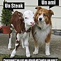 Être vegan, çà veut dire quoi ?