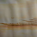IMG_20190317_090009