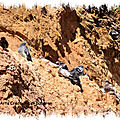 Roussillon_022