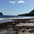 20151018_145541