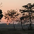coucher de soleil à Chitwan