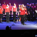concert Hamap 006