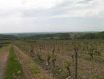 29042010_001