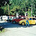 IMG_0024 (Copier)