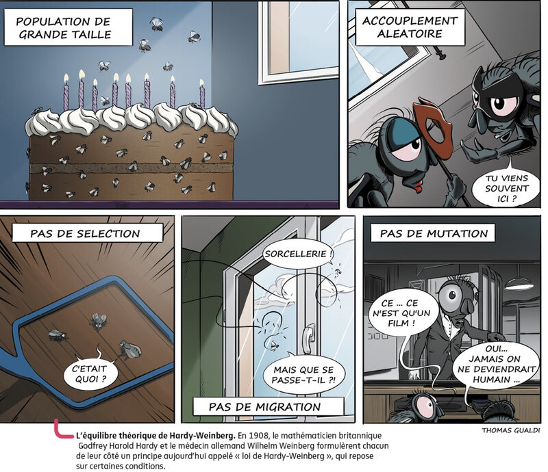 Hardy weinberg en BD
