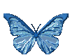 gif_papillon_20_11_