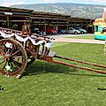 IMG_1206 (Copier)