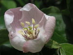 PICT0588