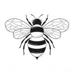 dessin abeille ruban