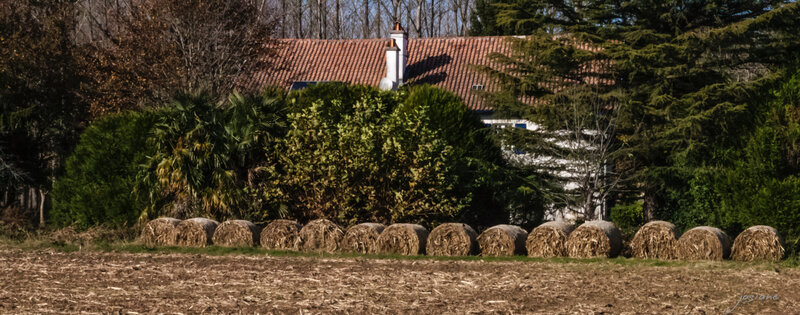 21112014-21112014-21112014-IMG_7742