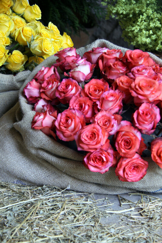 IMG_0035