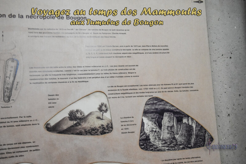 Voyagez au temps des Mammouths aux Tumulus de Bougon (5)