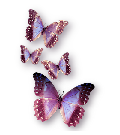 dyn006_original_400_450_png_2607885_d5c77dffc295e9b6389ea203f794de7b