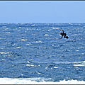 PIER STRAPLESS JUMP
