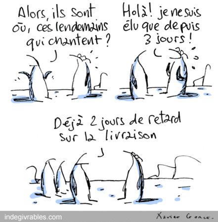xavier_gorce_110512