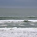 DSC_0016