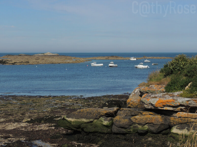 && près Barfleur (2)