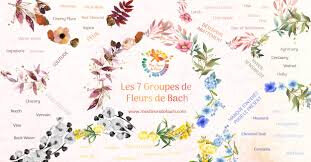 fleurs de Bach ronde