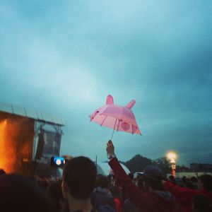 Pink_Totoro__Umbrella