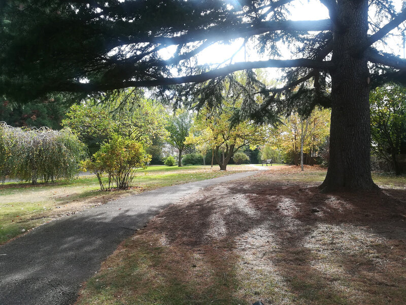 parc Labesse, 26 oct 2018 (18)