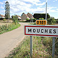 Mouches, panneau (58)