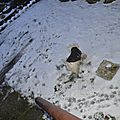 _DSC0053