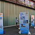 IMG_4220