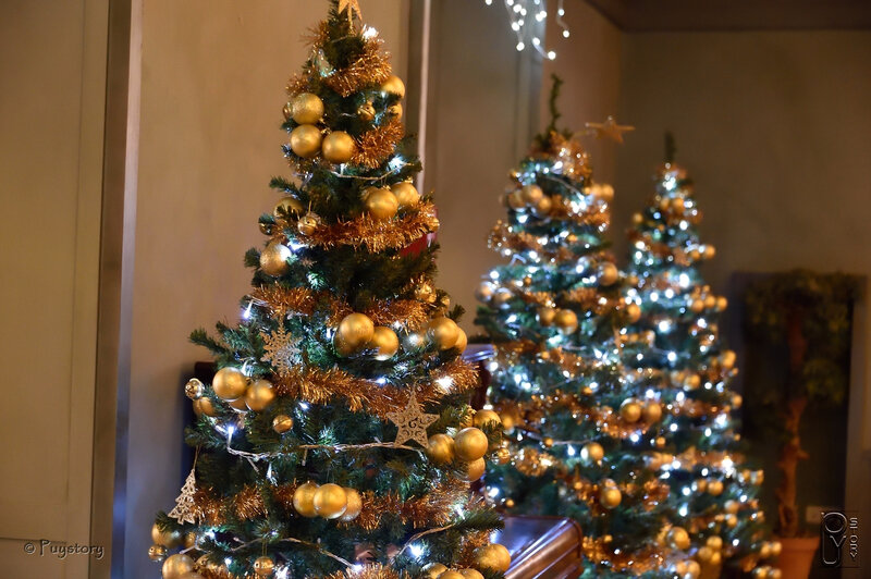 Puy Noël 2017_00077