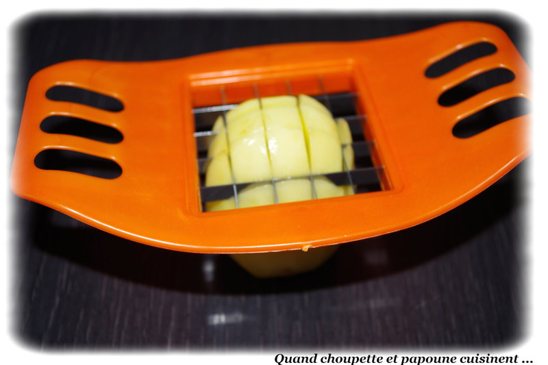 french fries cutter-8321
