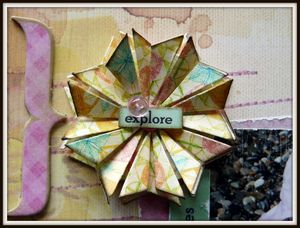 Détails fleur Jouer avec les petits cailloux