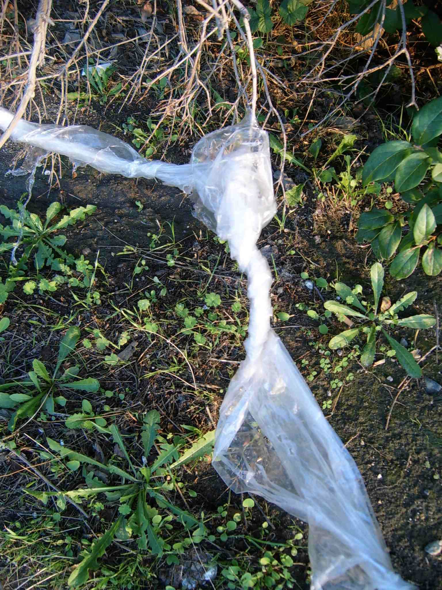 Déchet sauvage Plastique dans la nature - Pollution détritus