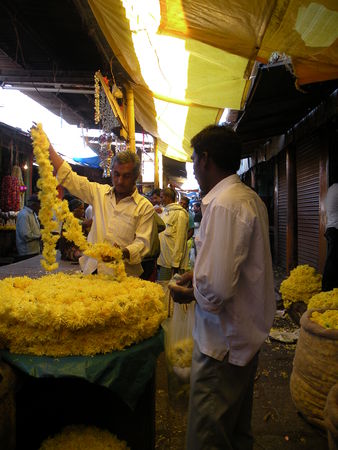 Mysore___Calicut___arriv_e_Cochin_324