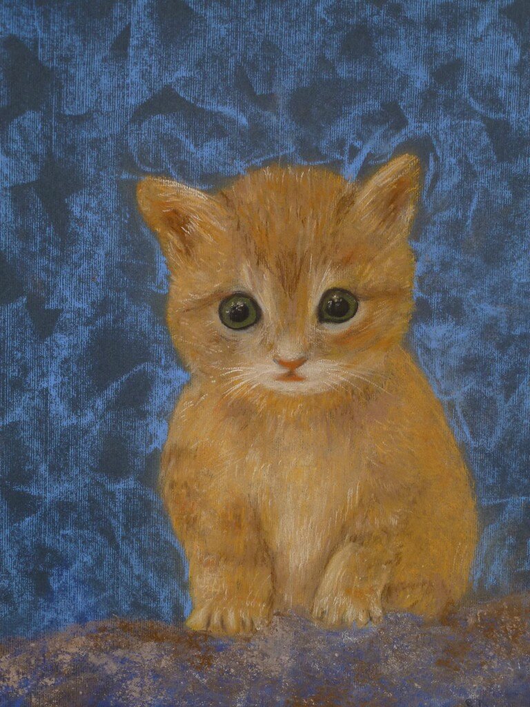 Le Petit Chat Roux Pastels Secs Format 30 X 40 Cm