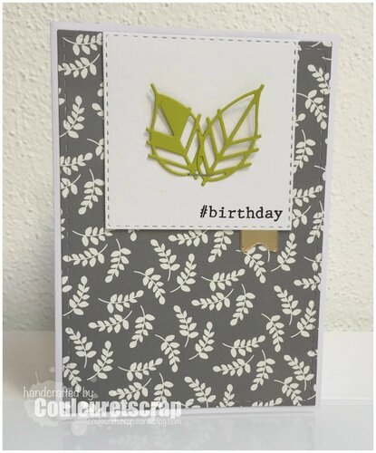 Couleurtescrap_carte_anniversaire_FMS205