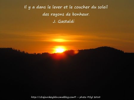 2011_D_SOL