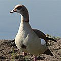P1140488
