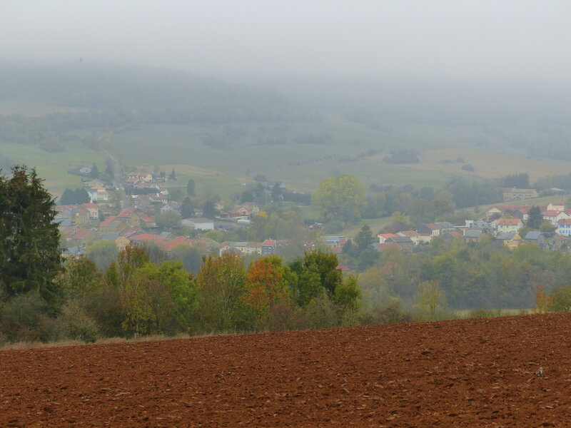P1300794
