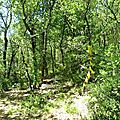 Bivouac découverte Juillet 17 (5)