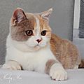 _DSC0485