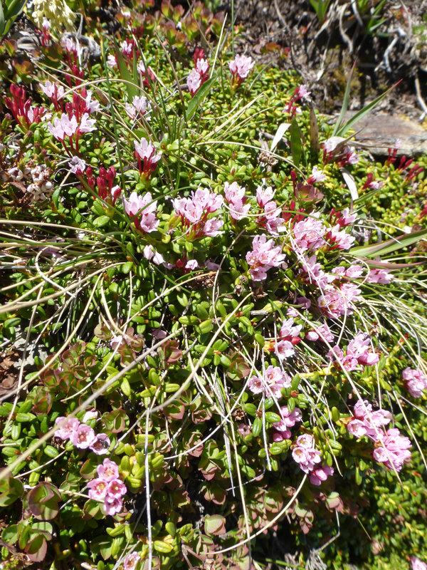 P1170443
