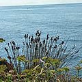 P1070834