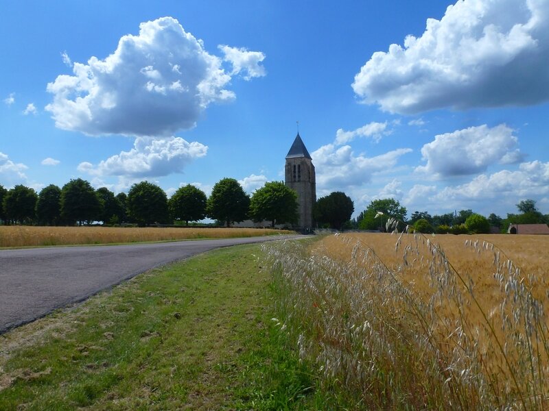 Promenade au cimetière de MontcourtFromonville Mémoire de SeineetMarne