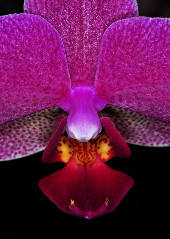 DSC_08033