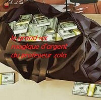 le-sac-magique-d-argent-du-professeur-zola