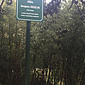 Le parc montsouris en mai 2019
