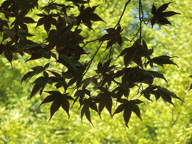 blog be17
