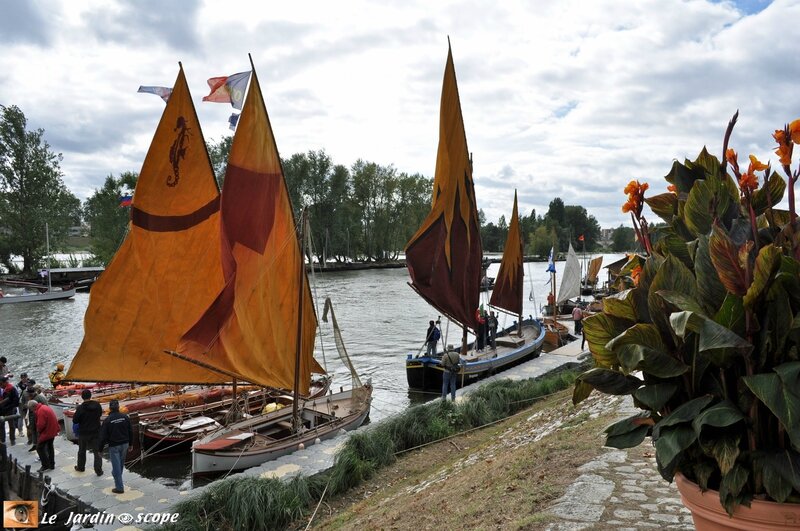 Festival de Loire d'Orléans 2013
