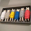 DSCN5344